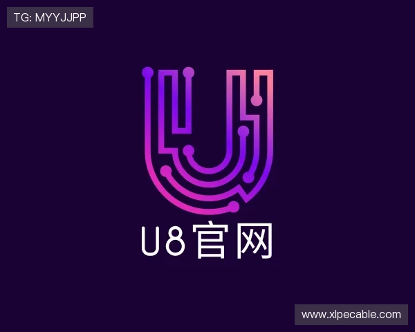 认识U8国际