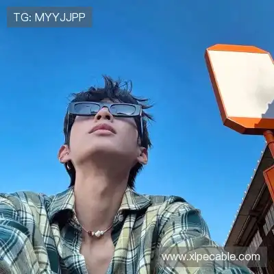 鲍柳泓